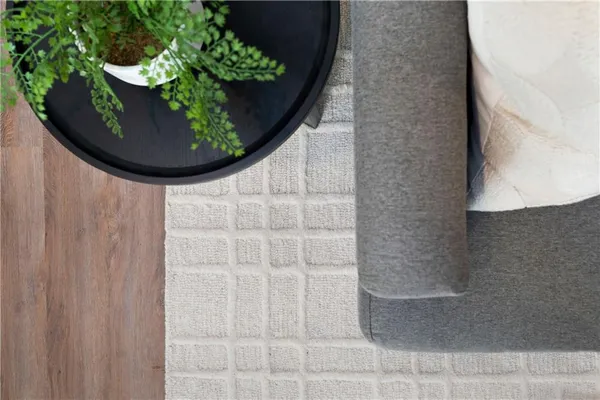 a view of a plant in a pot