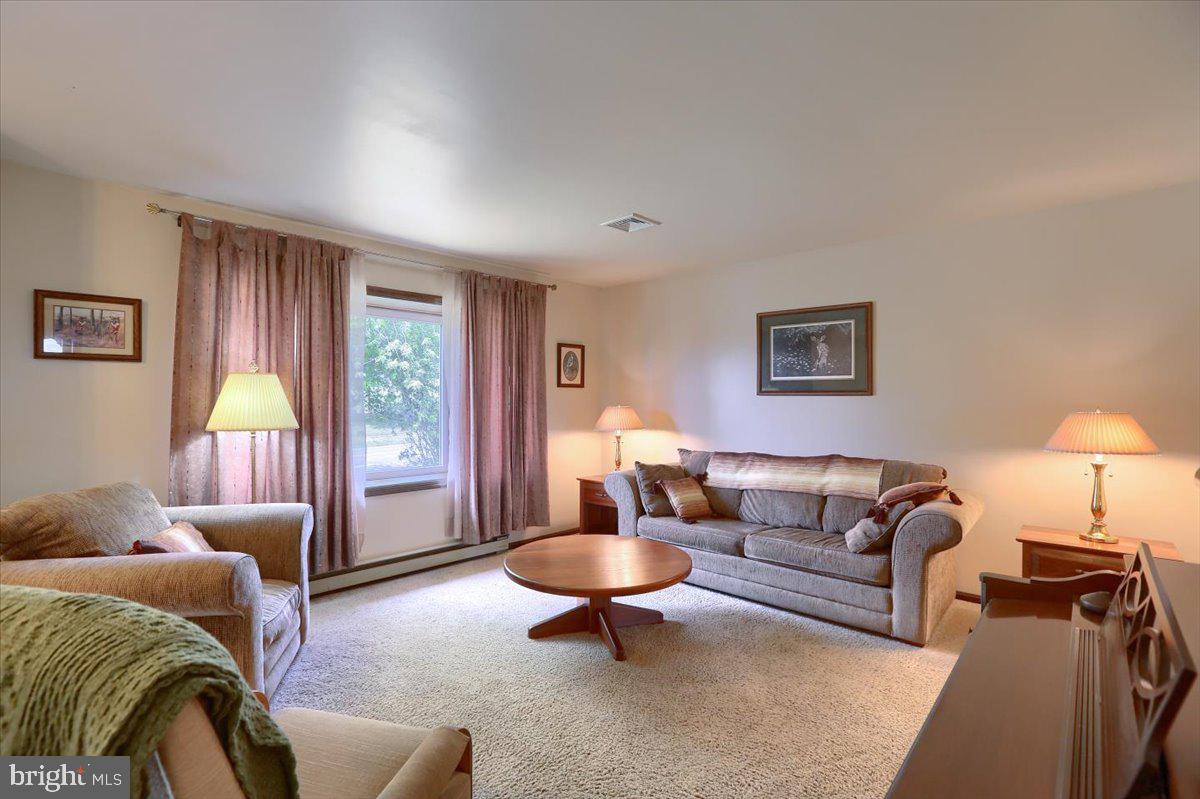 247 Rock Point Road Marietta, PA 17547 - Photo 6 of 31 living room