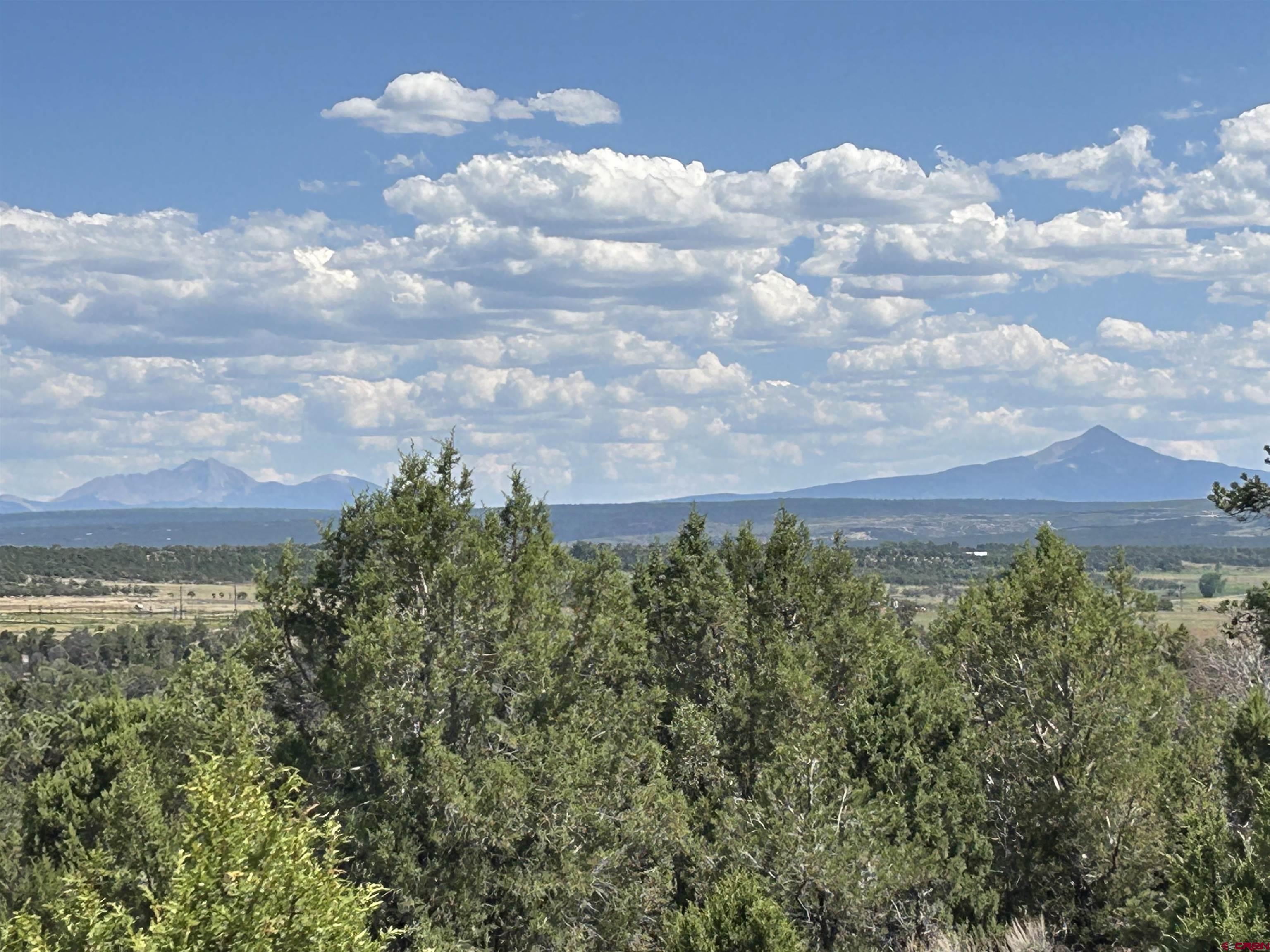 Tbd Mailbox Road Redvale, CO 81431 - Photo 5 of 6 a view of a bunch of trees