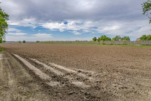 a view of a lake with a yard and large trees