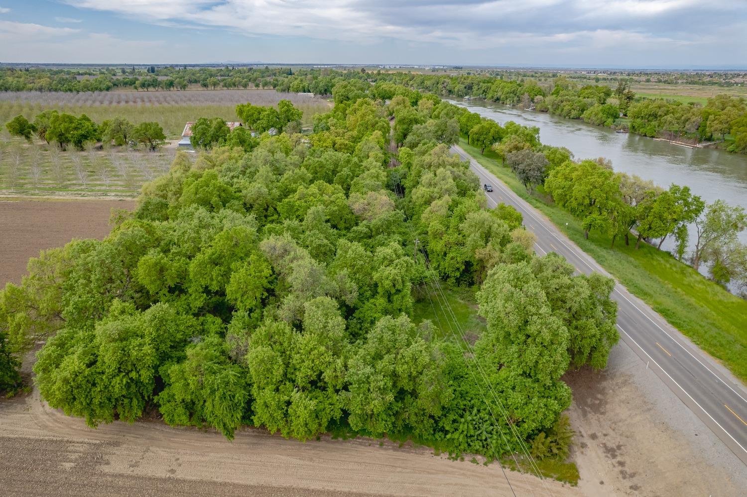 20660 Old River Road Woodland, CA 95776 - Photo 12 of 18 a view of a lake with a yard and large trees
