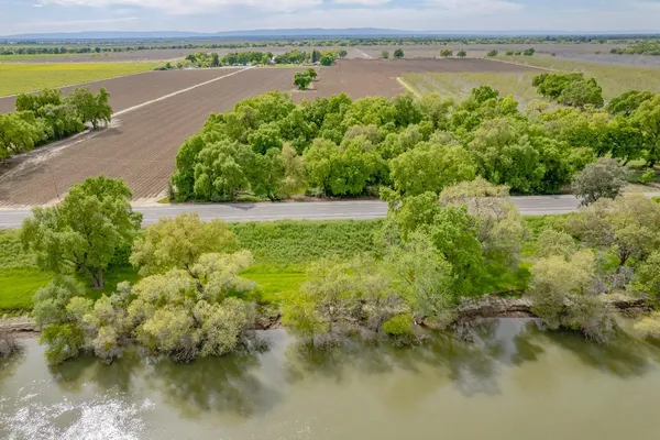 a view of a field with plants and trees