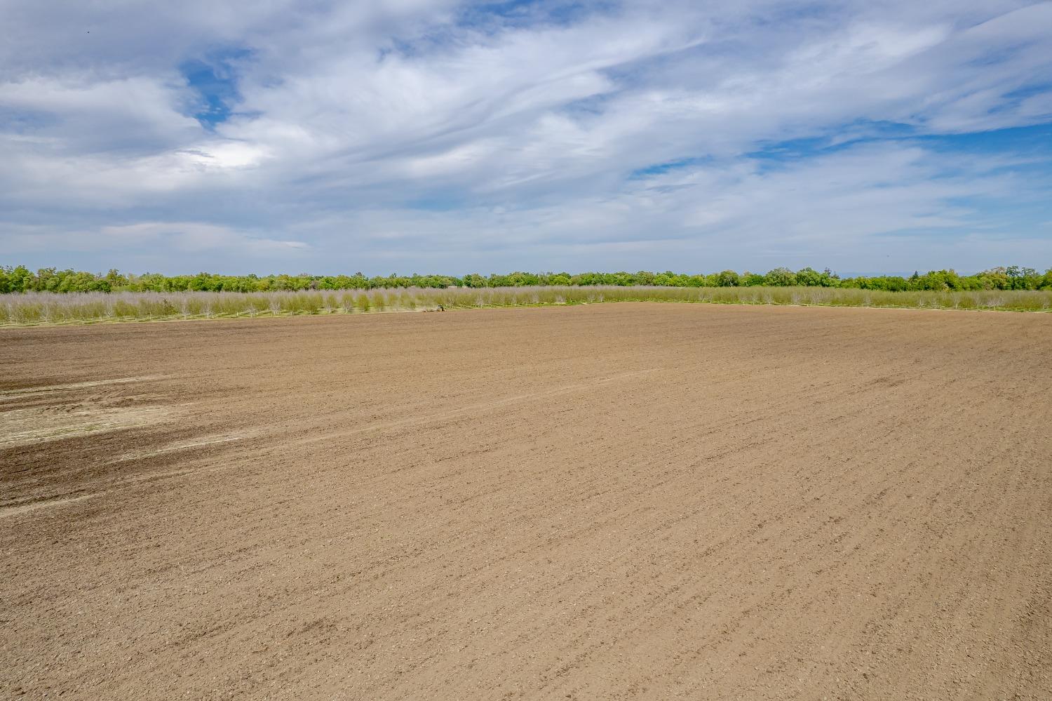 20660 Old River Road Woodland, CA 95776 - Photo 7 of 18