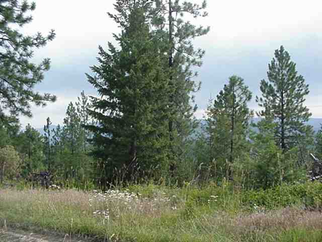 Xx Hayley's Way Tract B Springdale, WA 99173 - Photo 3 of 5 Gallery Image 3