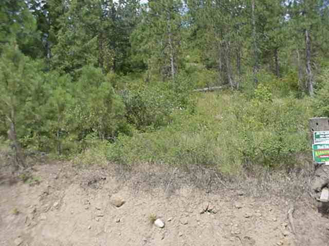 Xx Hayley's Way Tract B Springdale, WA 99173 - Photo 4 of 5 Gallery Image 4