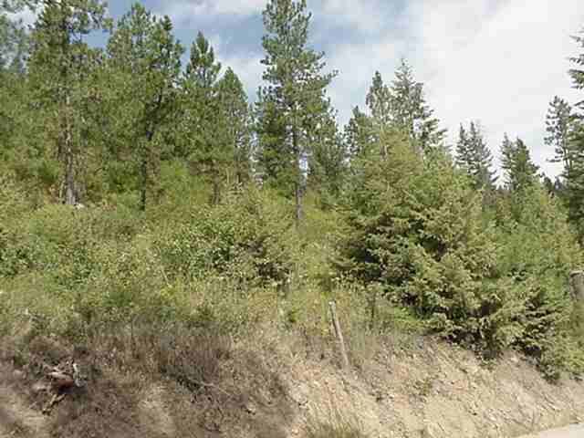 Xx Hayley's Way Tract B Springdale, WA 99173 - Photo 5 of 5 Gallery Image 5
