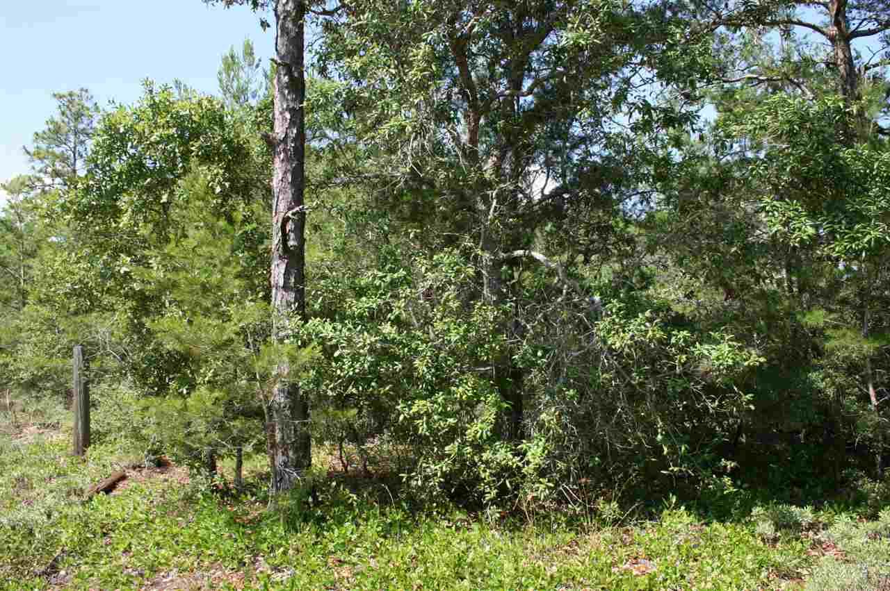 2754 Jewell Road Navarre, FL 32566 - Photo 3 of 11 Gallery Image 3