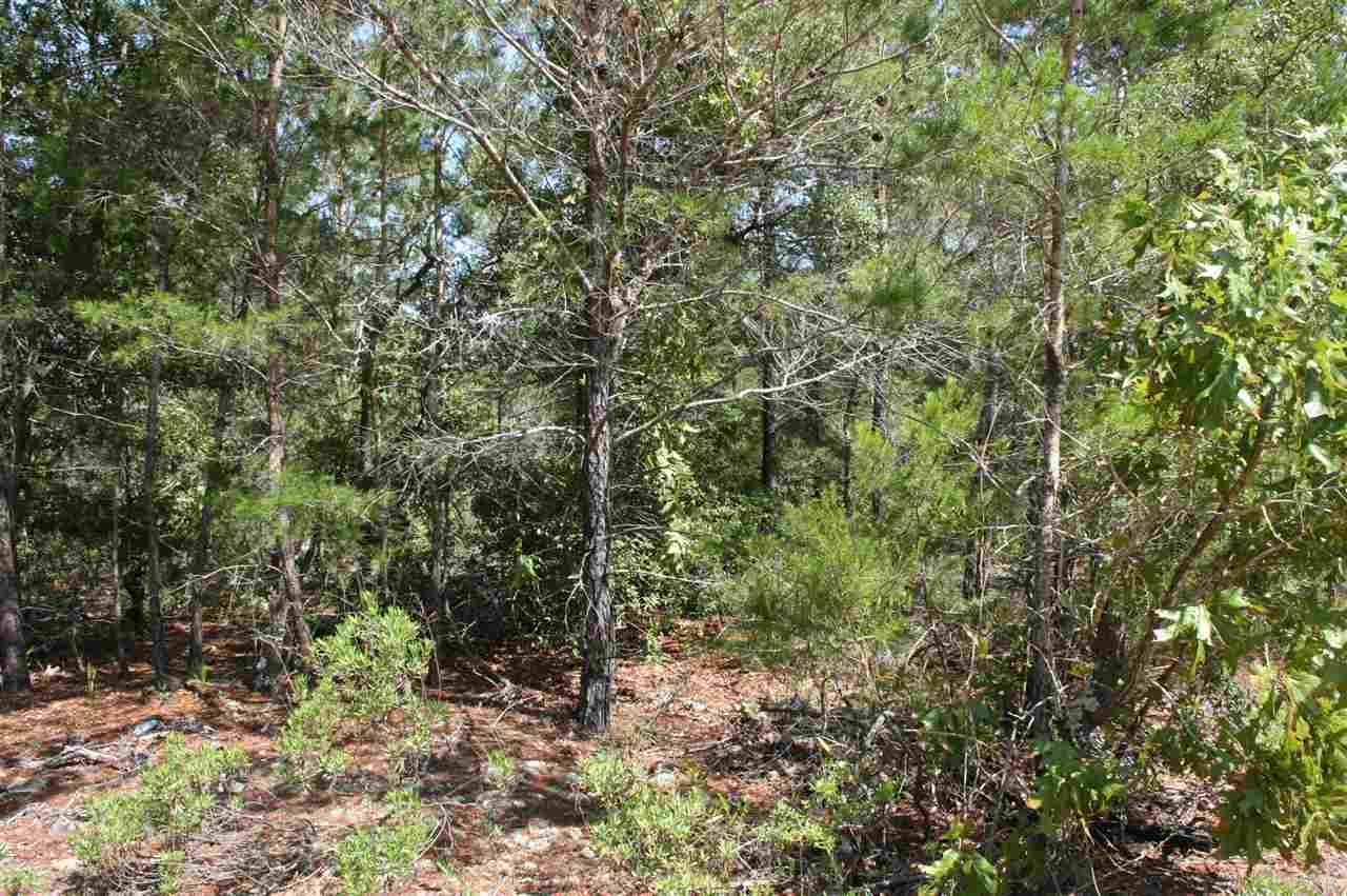 2754 Jewell Road Navarre, FL 32566 - Photo 8 of 11 Gallery Image 8