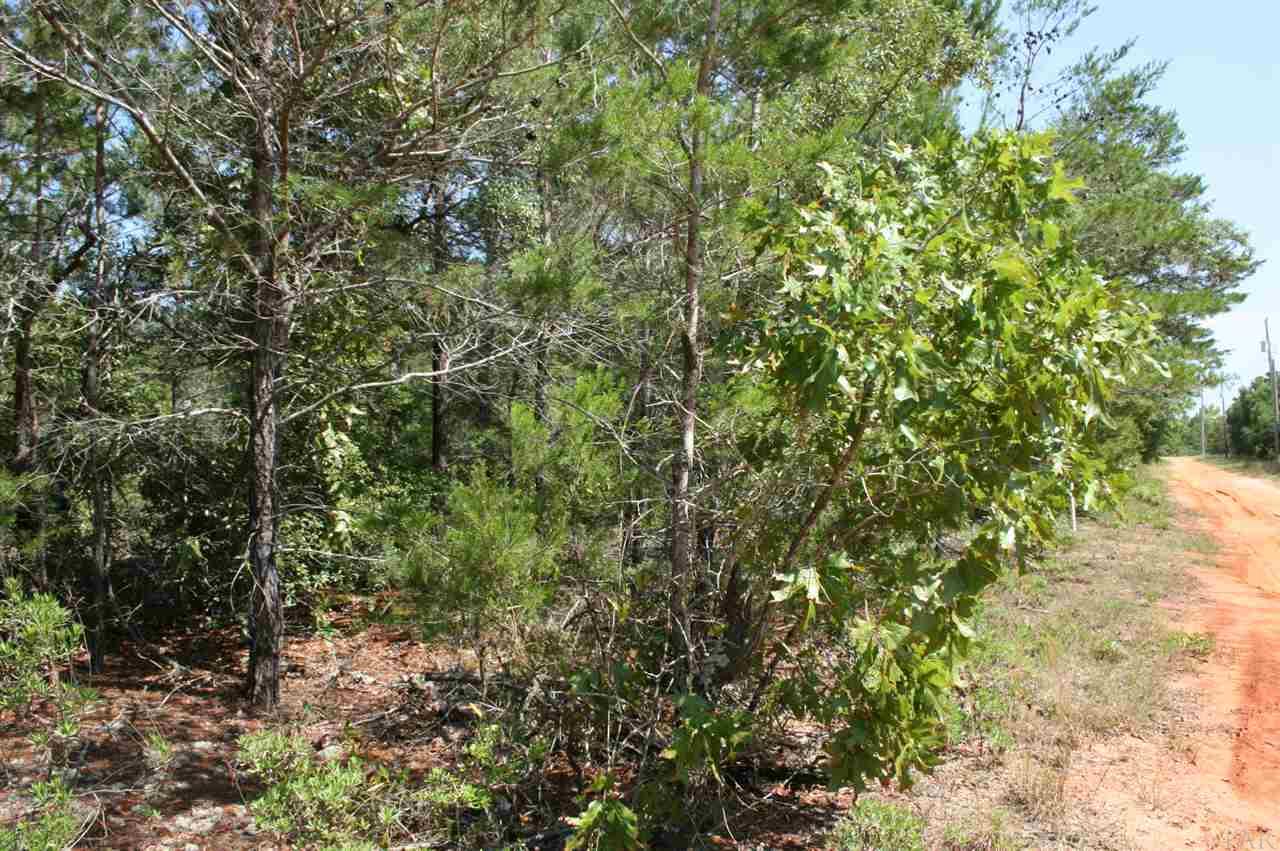 2754 Jewell Road Navarre, FL 32566 - Photo 9 of 11 Gallery Image 9
