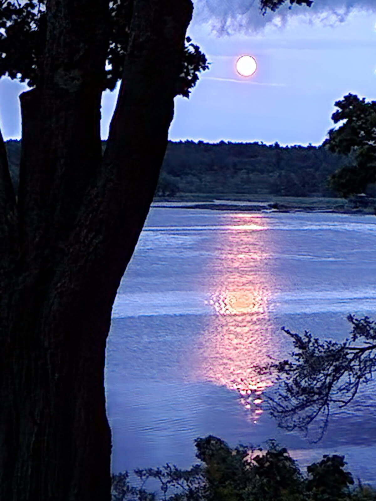 53 High Street Bath, ME 04530 - Photo 6 of 38 image000000 (5)