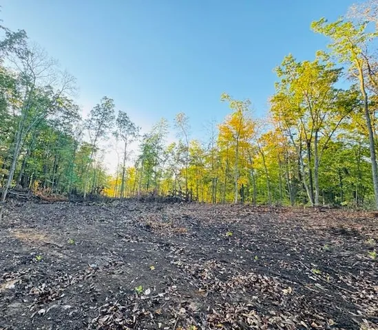 $30,000 | L1032 Blue Ridge Drive, La Valle, WI 53941