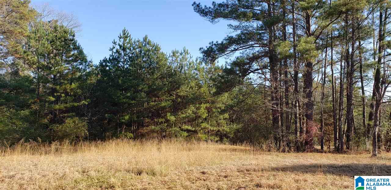 4035 Bryan Road, Unit 4 Dora, AL 35062 - Photo 16 of 17