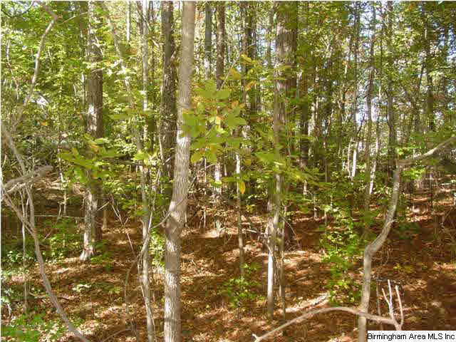 Old Choccolocco Road, Unit 73 Anniston, AL 36207 - Photo 1 of 30
