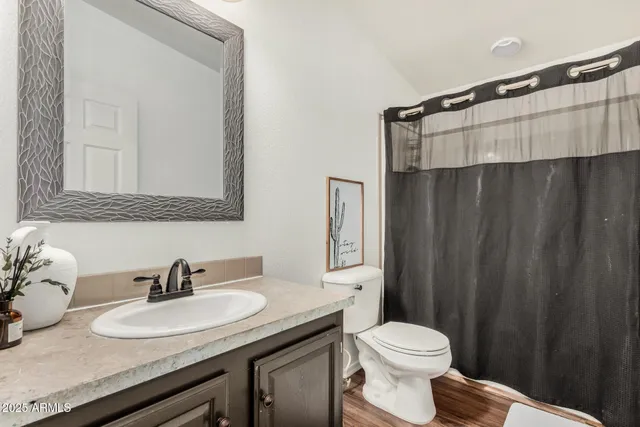 a bathroom with a granite countertop sink toilet and a mirror