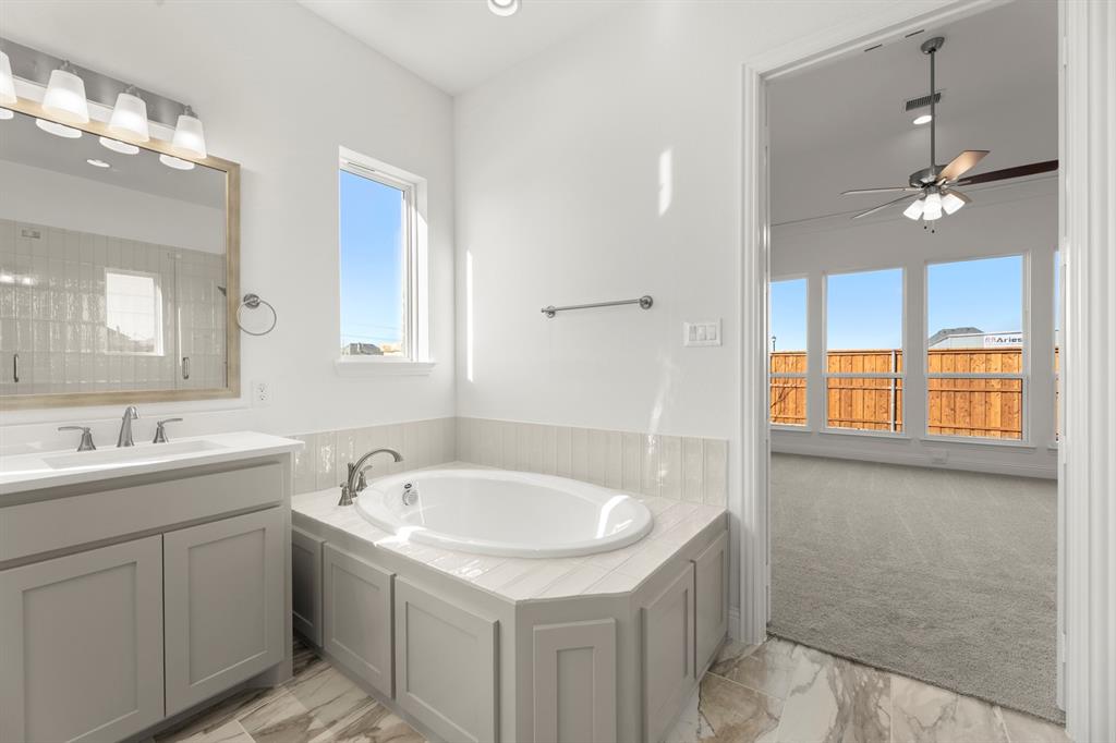 2006 Wickersham Road Rockwall, TX 75087 - Photo 19 of 33 a bathroom with a sink and a bathtub