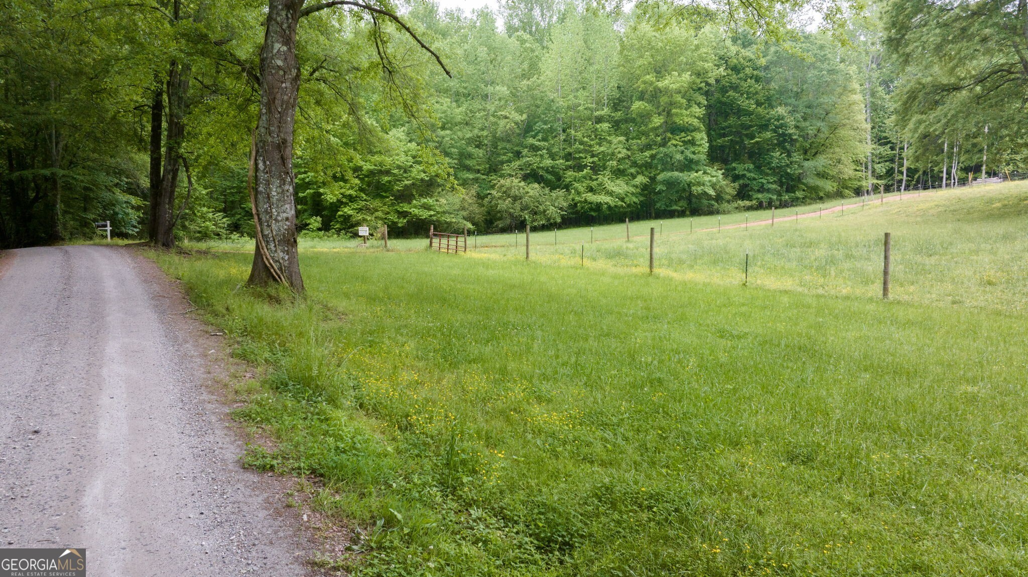 0 Louden Ridge Road Alto, GA 30510 - Photo 1 of 1 Gallery Image 1