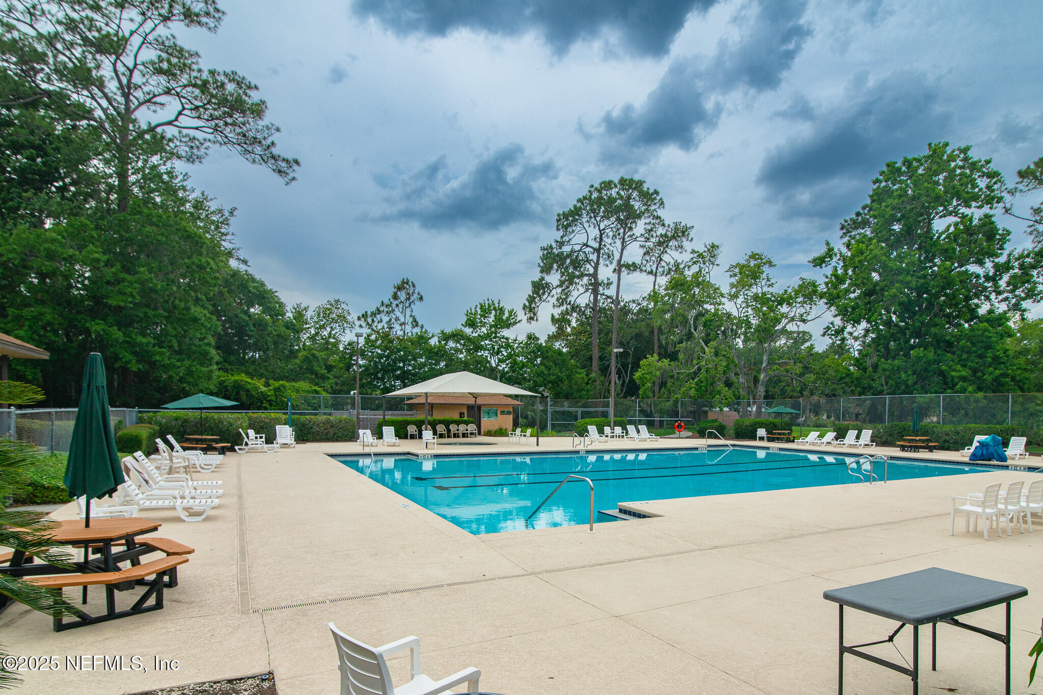 12850 Deep Lagoon Place West Jacksonville, FL 32246 - Photo 43 of 51 a view of swimming pool and trees in the background