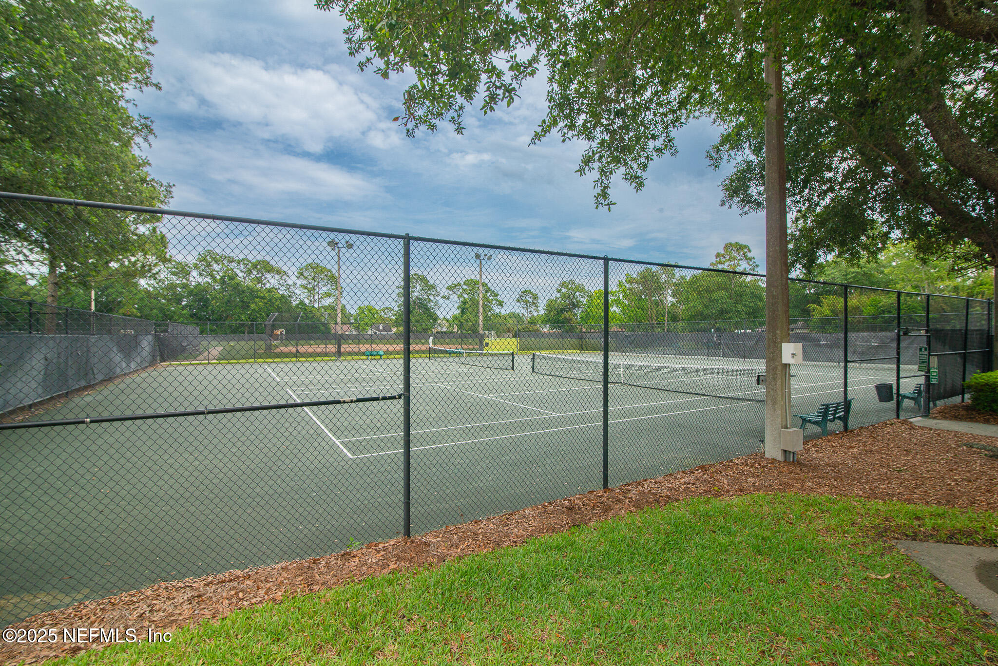 12850 Deep Lagoon Place West Jacksonville, FL 32246 - Photo 46 of 51 a view of a backyard