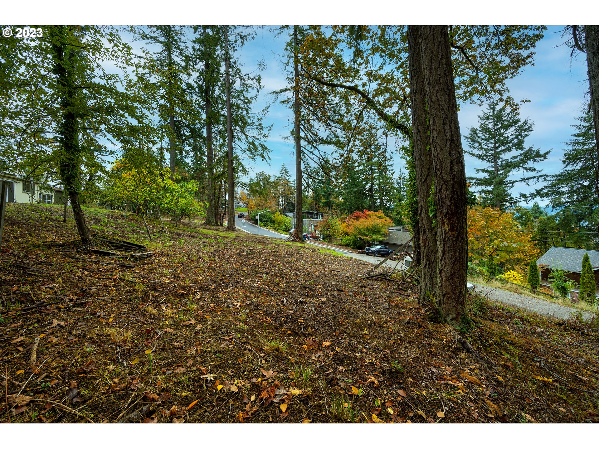 2993 Capital Drive, Unit 1 Eugene, OR 97403 - Photo 5 of 9