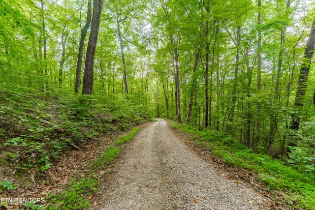 $350,000 | 346 Strong Hollow Lane, Rocky Top, TN 37769
