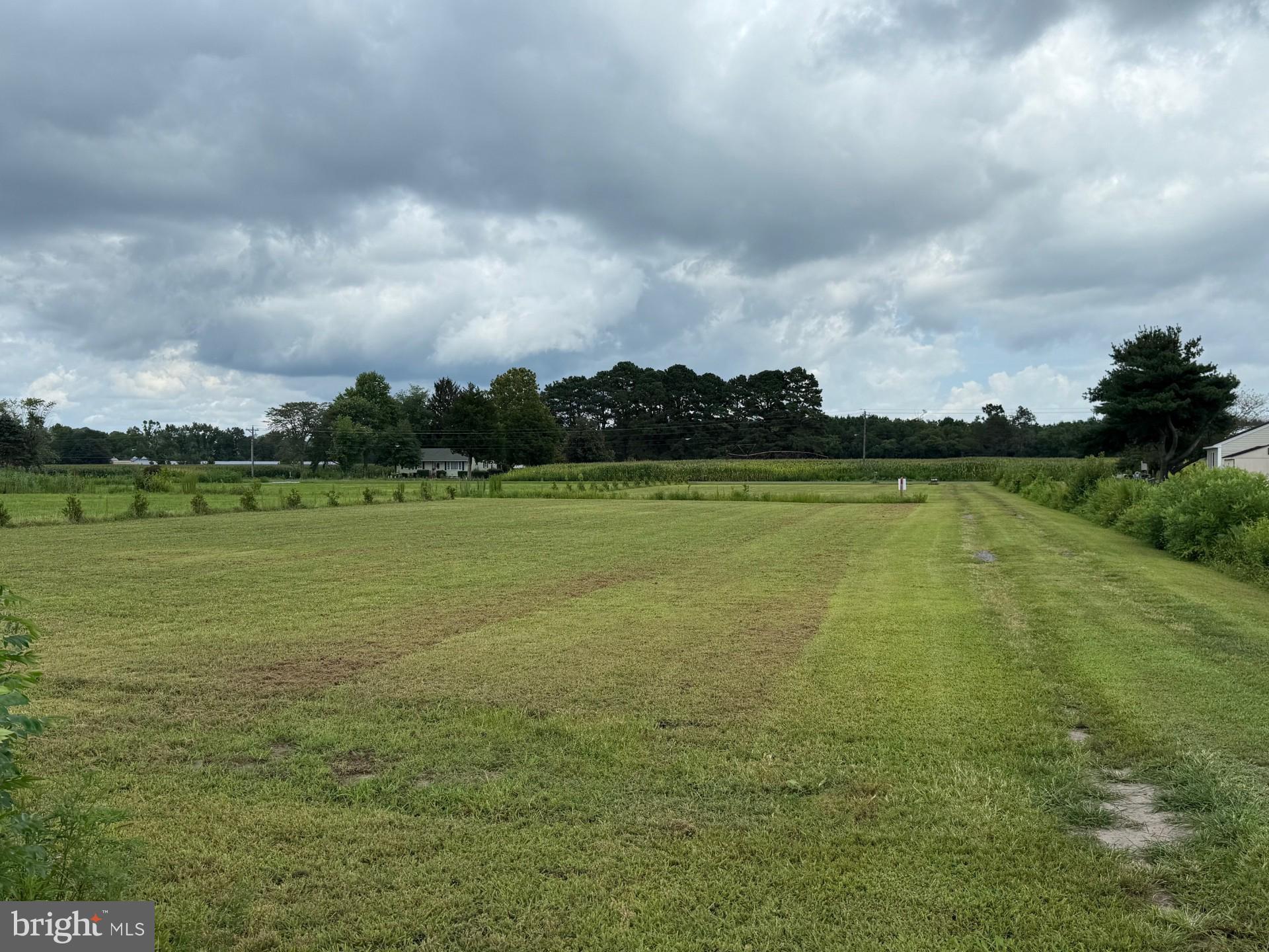 6794 Bent Pine Road Willards, MD 21874 - Photo 3 of 29 a view of a lake with a big yard