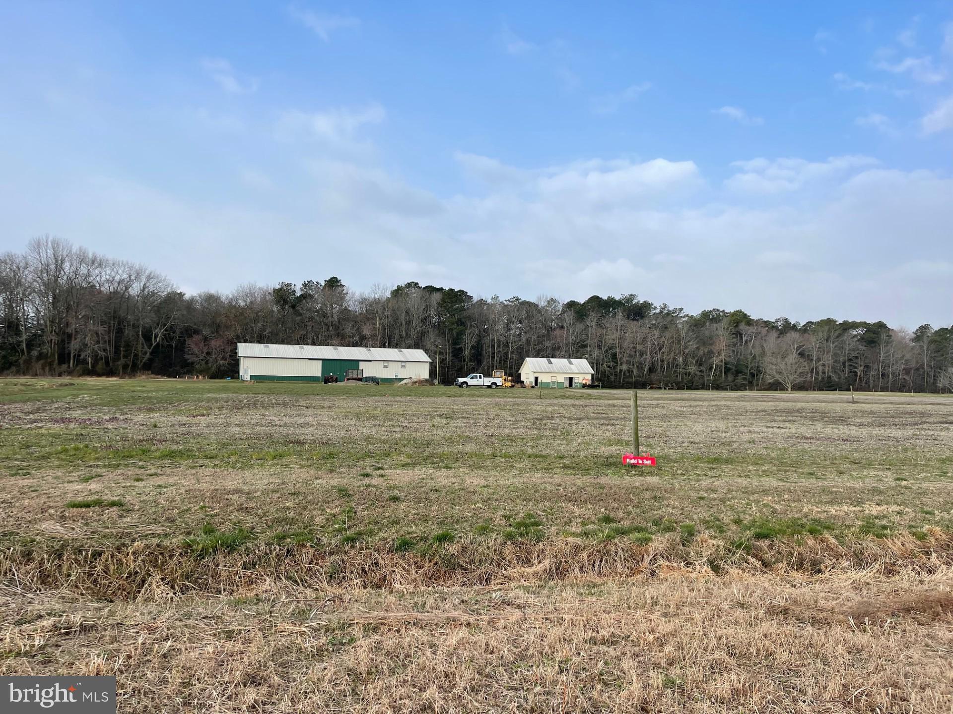 6794 Bent Pine Road Willards, MD 21874 - Photo 7 of 29 a view of patio and yard