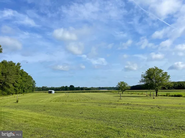 a view of a large house with a big yard and large tree