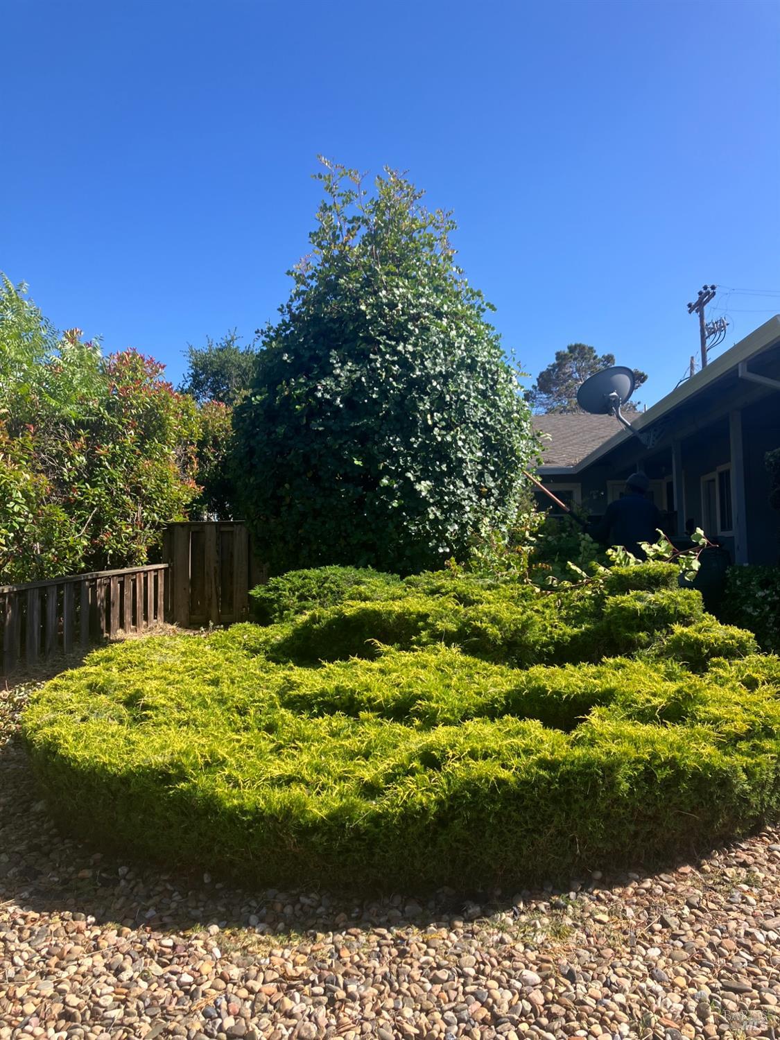 Sereno Drive Vallejo, CA 94589 - Photo 18 of 20 a view of backyard with swimming pool