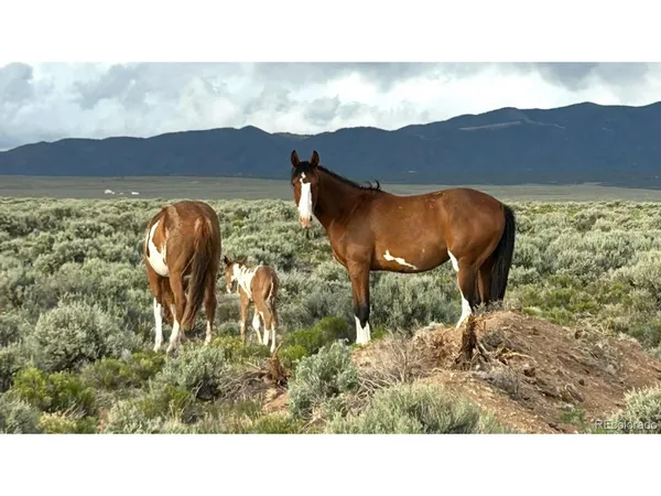 $539,900 | Undisclosed Address, Sanford, CO 81151