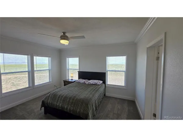 a living room with a bed furniture and a window