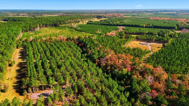 $750,000 | 815 State Rd S-15-526, Walterboro, SC 29488