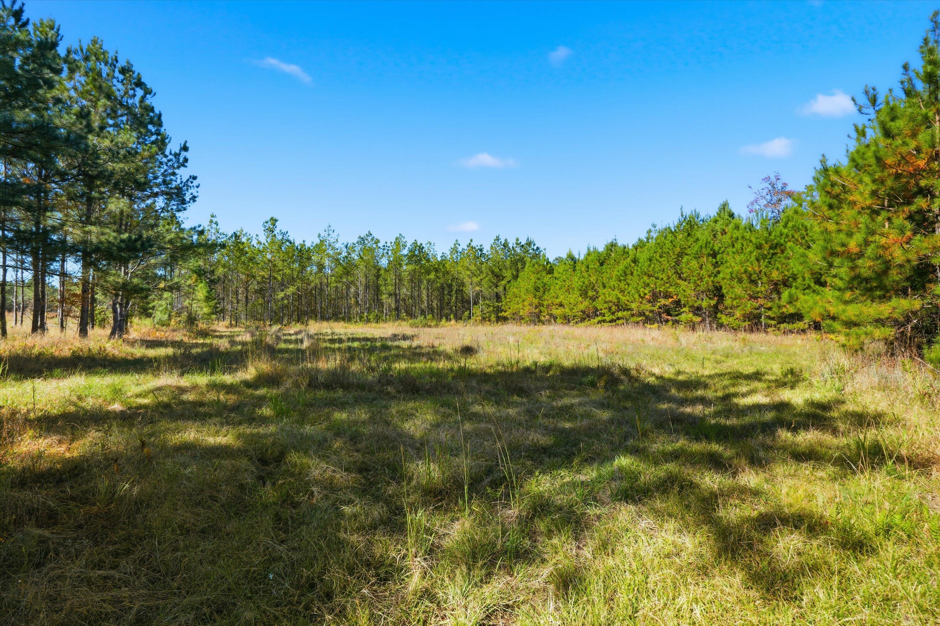 815 State Rd S-15-526 Walterboro, SC 29488 - Photo 13 of 28 17-024_DSC07149