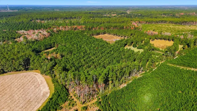 $750,000 | 815 State Rd S-15-526, Walterboro, SC 29488