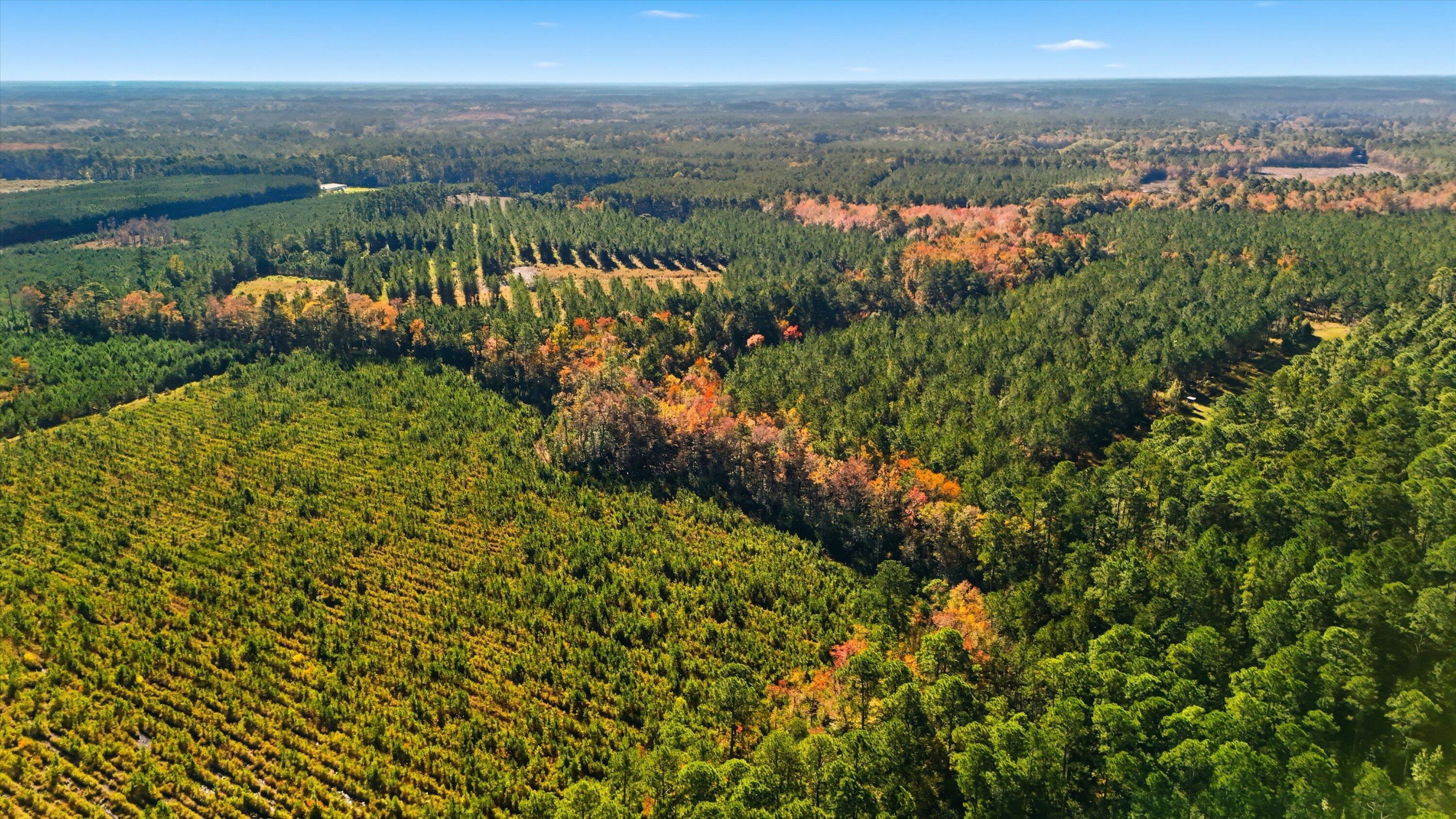 815 State Rd S-15-526 Walterboro, SC 29488 - Photo 15 of 28 19-004_DJI_20251105101623_0011_D