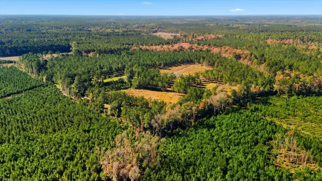 $750,000 | 815 State Rd S-15-526, Walterboro, SC 29488