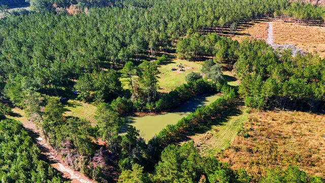 $750,000 | 815 State Rd S-15-526, Walterboro, SC 29488