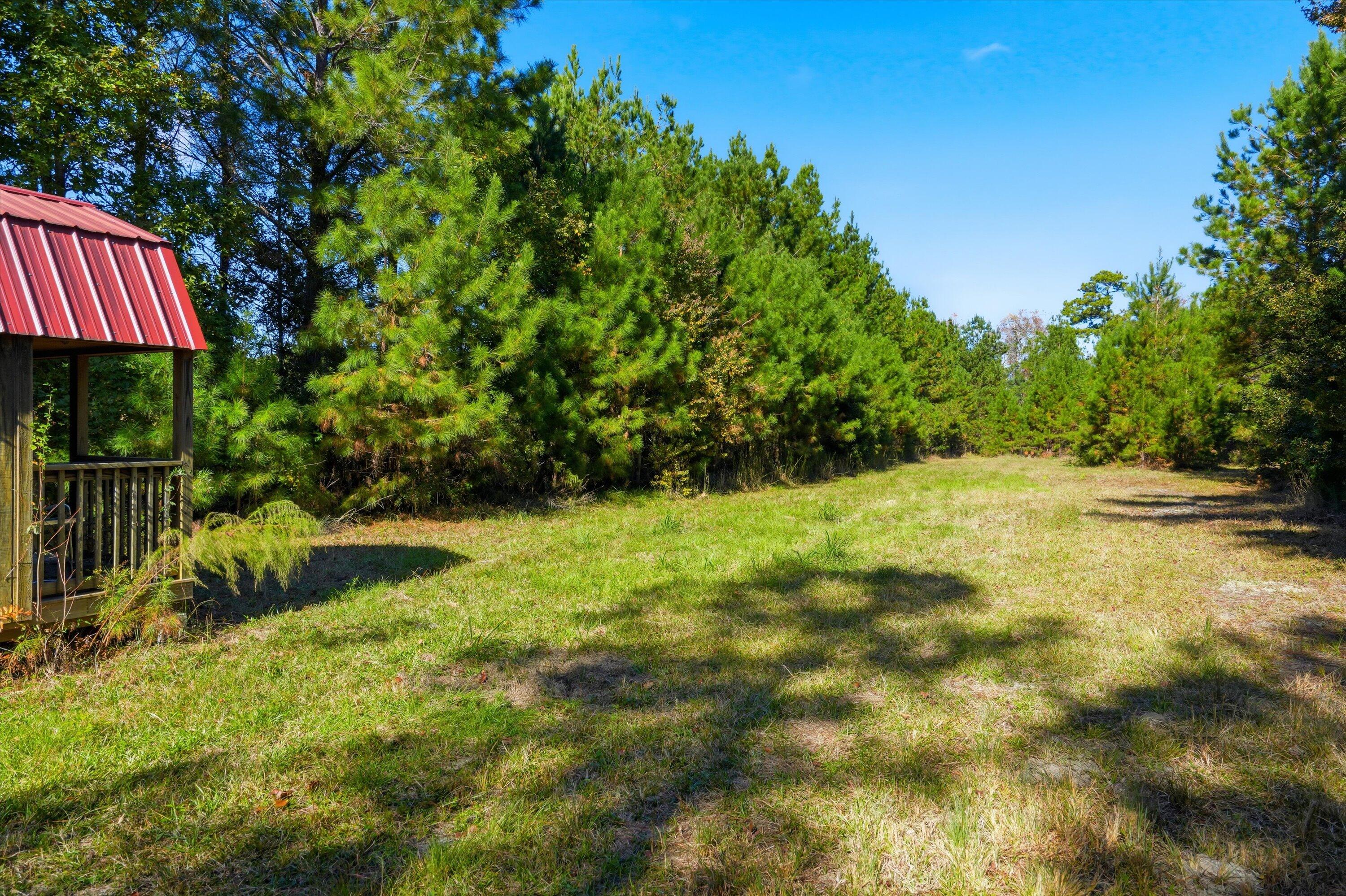 815 State Rd S-15-526 Walterboro, SC 29488 - Photo 18 of 28 22-022_DSC07137