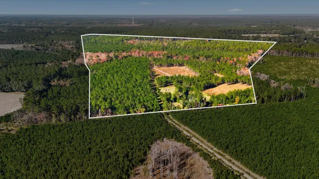 $750,000 | 815 State Rd S-15-526, Walterboro, SC 29488