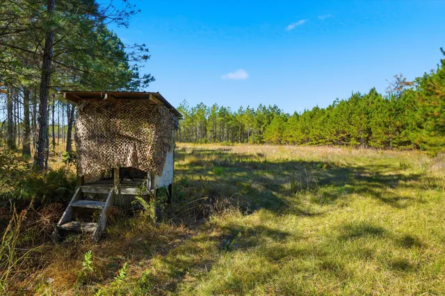 $750,000 | 815 State Rd S-15-526, Walterboro, SC 29488
