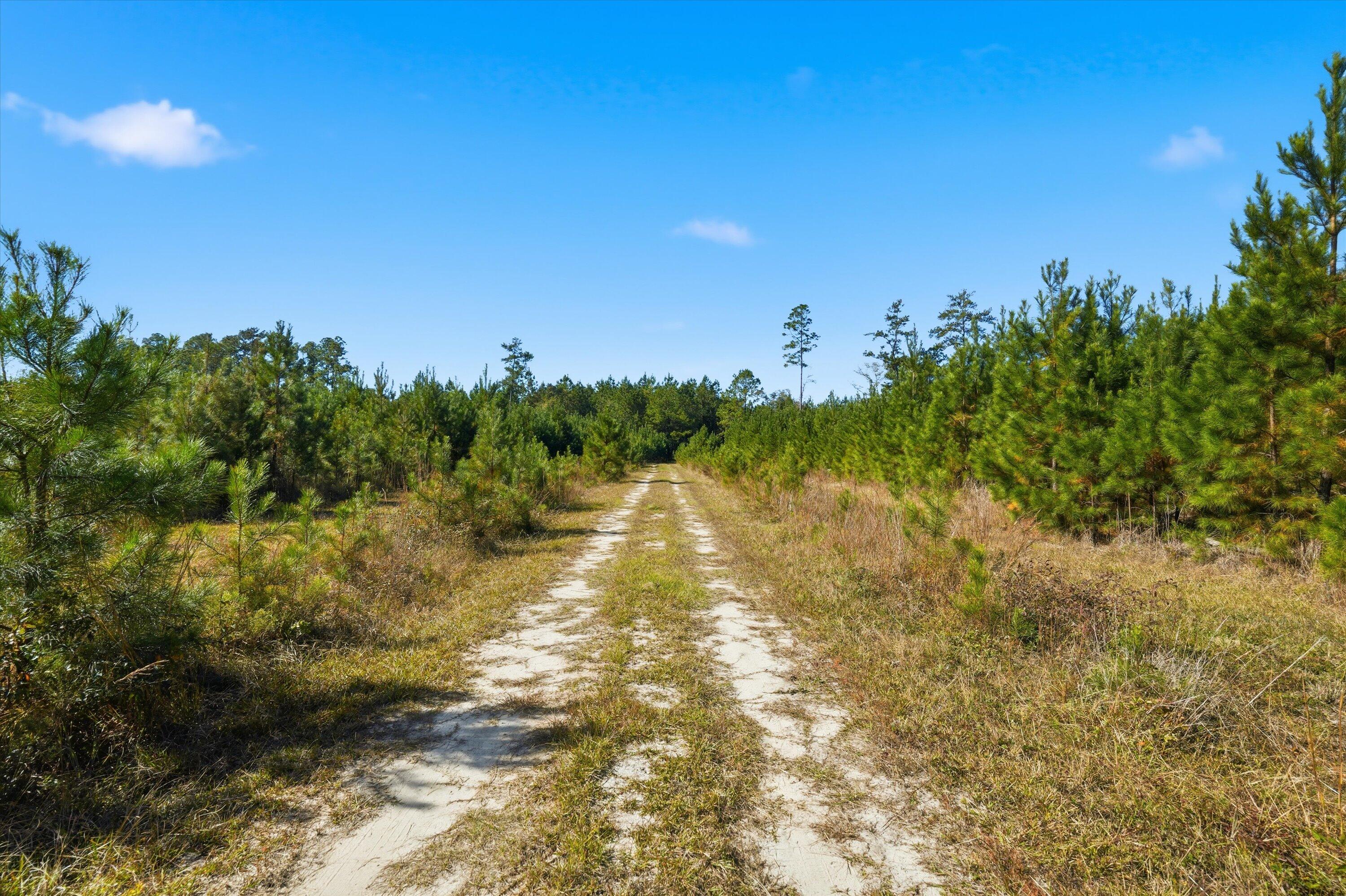 815 State Rd S-15-526 Walterboro, SC 29488 - Photo 23 of 28 27-014_DSC07158