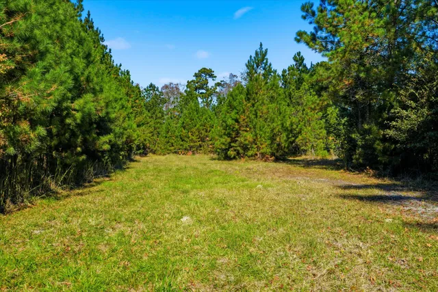 $750,000 | 815 State Rd S-15-526, Walterboro, SC 29488