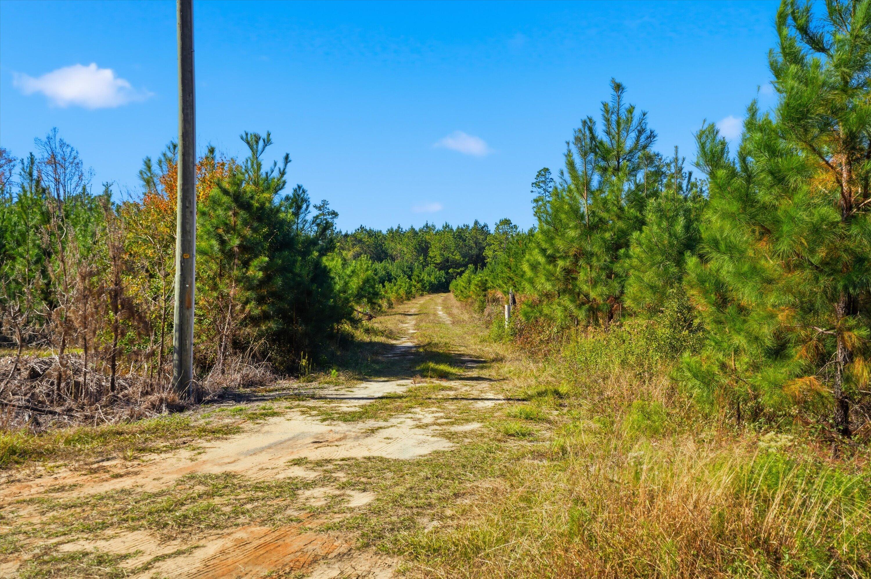 815 State Rd S-15-526 Walterboro, SC 29488 - Photo 26 of 28 30-015_DSC07161
