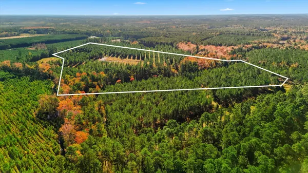 $699,000 | 815 State Rd S-15-526, Walterboro, SC 29488