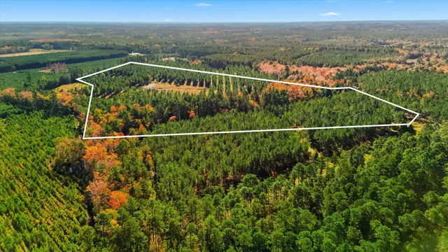 $750,000 | 815 State Rd S-15-526, Walterboro, SC 29488