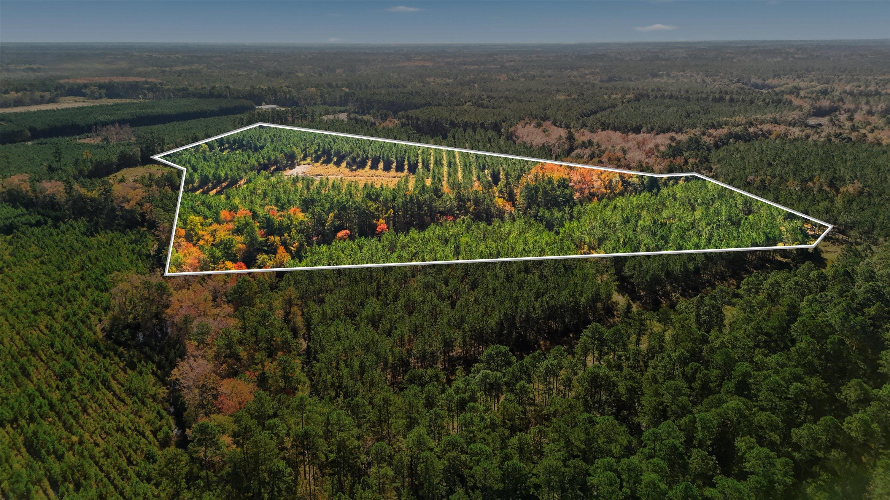 815 State Rd S-15-526 Walterboro, SC 29488 - Photo 4 of 28 06-005_DJI_20251105101642_0014_D_2