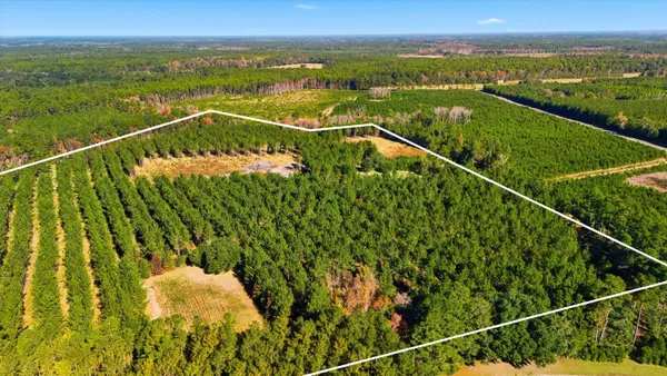 $699,000 | 815 State Rd S-15-526, Walterboro, SC 29488