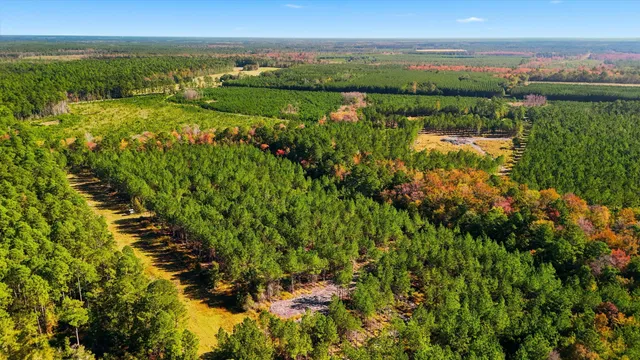 $750,000 | 815 State Rd S-15-526, Walterboro, SC 29488