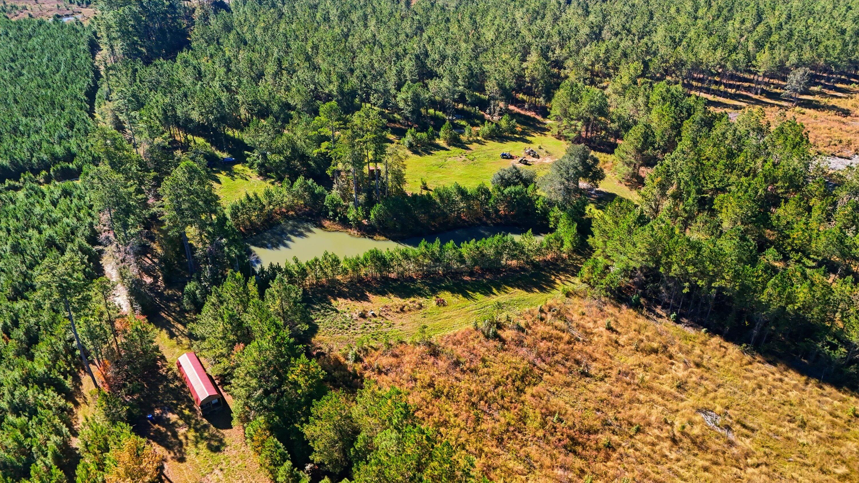 815 State Rd S-15-526 Walterboro, SC 29488 - Photo 7 of 28 11-010_DJI_20251105102036_0029_D