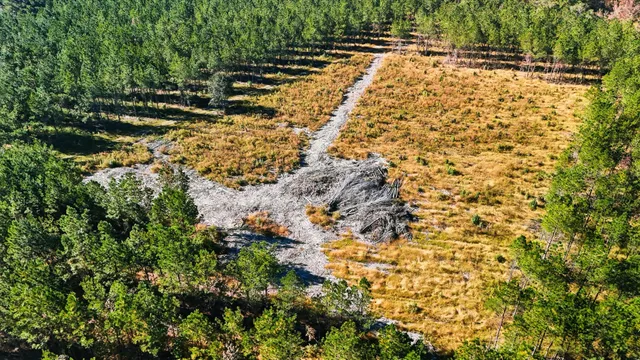 $750,000 | 815 State Rd S-15-526, Walterboro, SC 29488