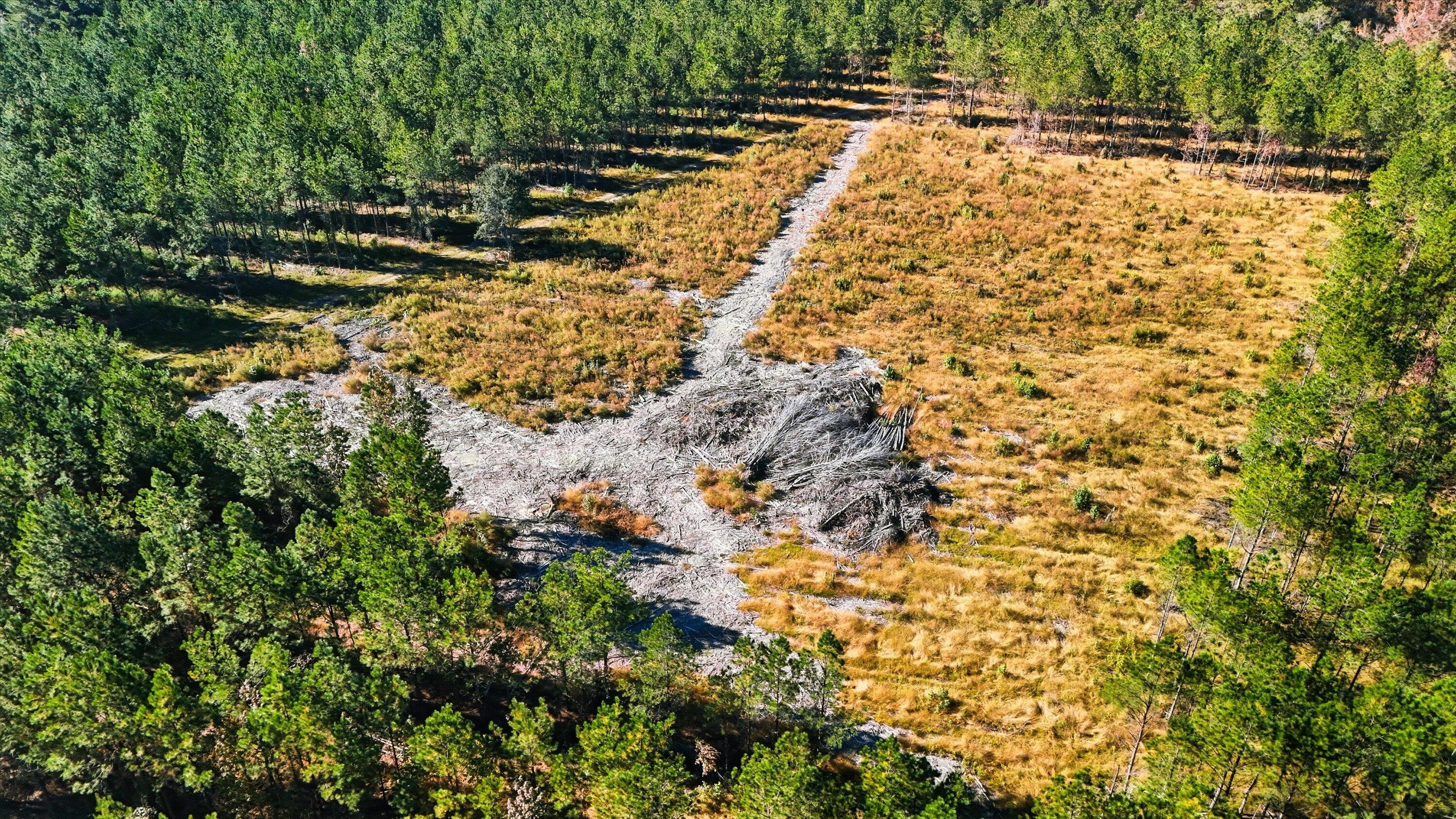 815 State Rd S-15-526 Walterboro, SC 29488 - Photo 9 of 28 13-012_DJI_20251105102128_0035_D